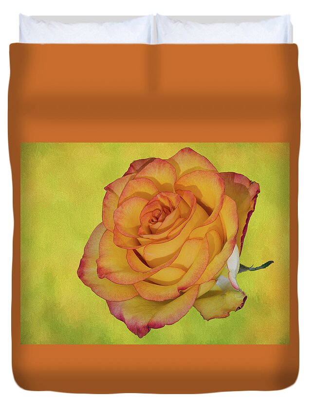 Detailed Rose Duvet Cover featuring the photograph Only a Rose by John Roach