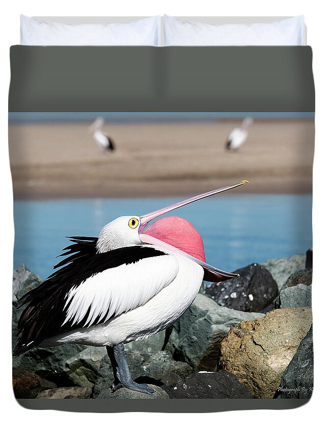 Pelicans Duvet Cover featuring the digital art Open wide 61063 by Kevin Chippindall