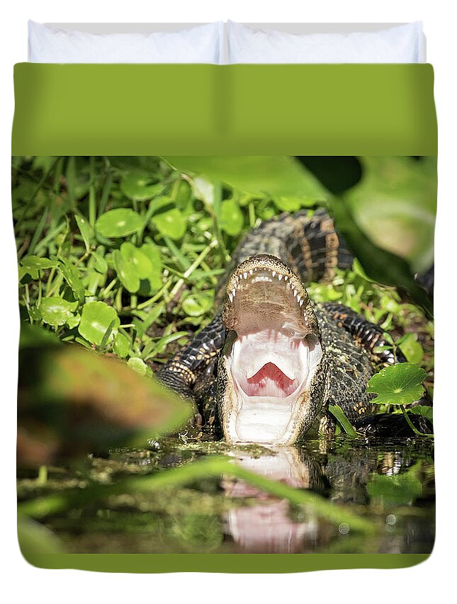 Alligator Duvet Cover featuring the photograph Open Wide by Eilish Palmer