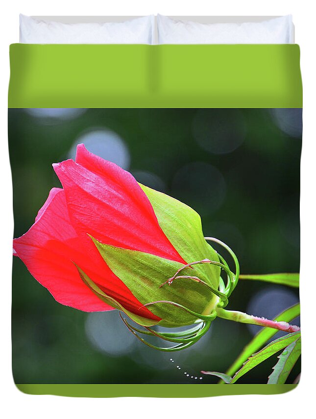 Flora Duvet Cover featuring the photograph Opening Hibiscus by Mike Martin
