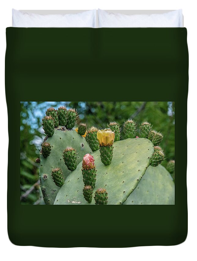  Duvet Cover featuring the photograph Opuntia Cactus by Patrick Boening