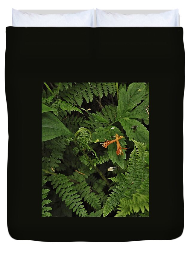 Nature Duvet Cover featuring the photograph Orange Accents of the Forest by Charles Lucas