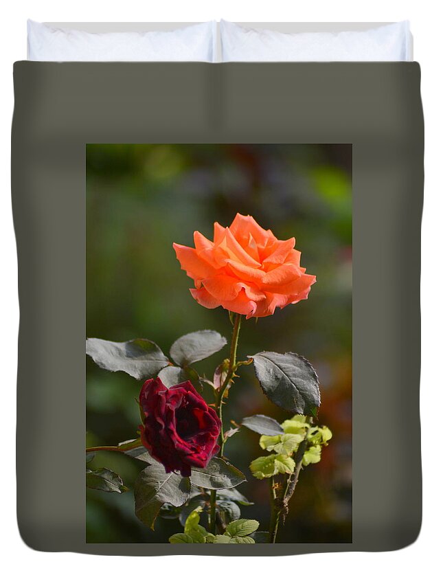 Orange & Black Rose Duvet Cover featuring the photograph Orange and black rose by Salman Ravish
