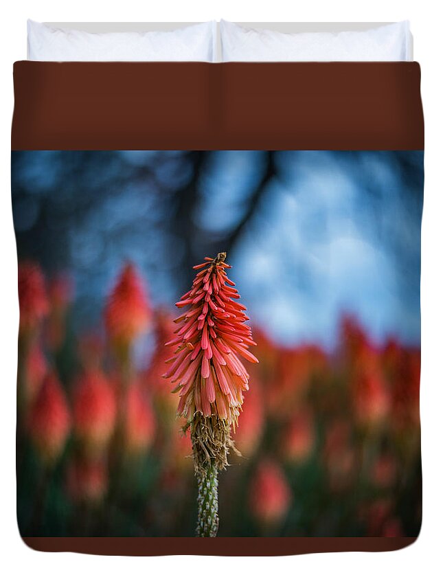 Flowers Duvet Cover featuring the photograph Orange and Blue by Wendy Carrington