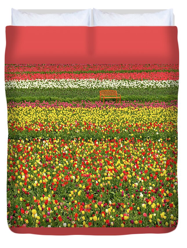 Tulips Duvet Cover featuring the photograph Orange Bench on A Tulip Field by Aashish Vaidya