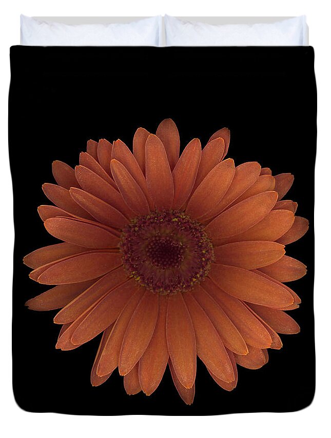 Orange Duvet Cover featuring the photograph Orange Daisy Front by Heather Kirk