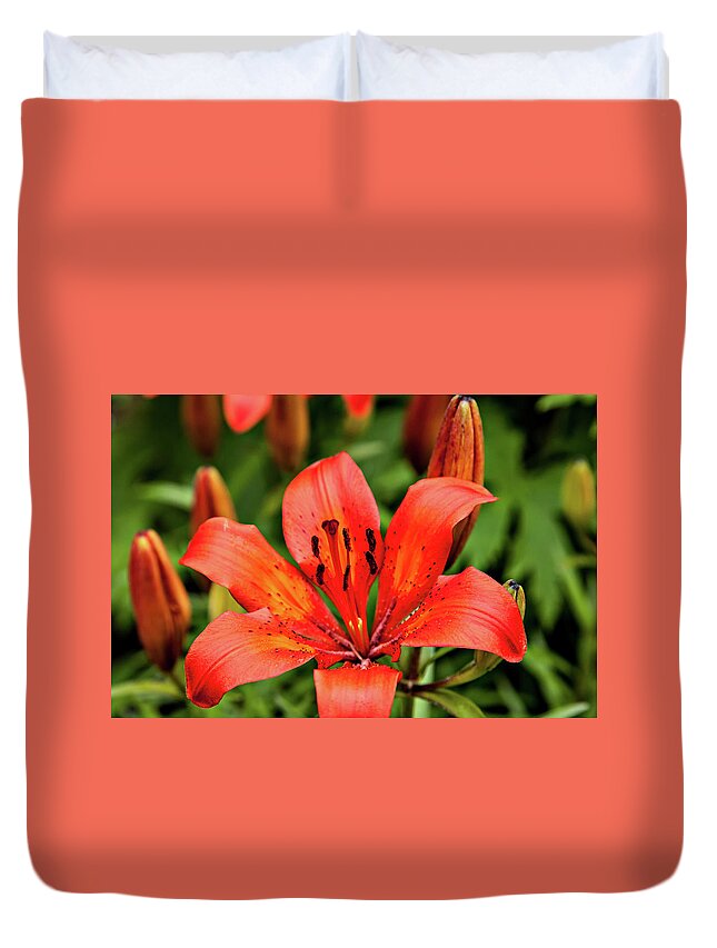  Duvet Cover featuring the photograph Orange Day Lilly Single by Mary Jo Allen