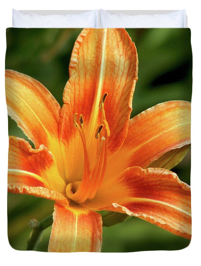 Lily Duvet Cover featuring the photograph Orange Delight by Lisa Blake