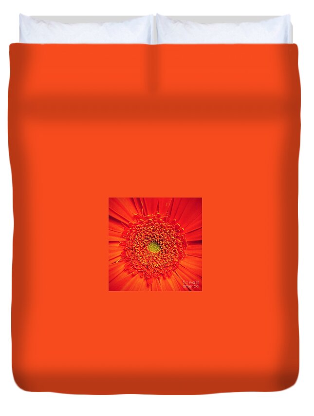 Flower Duvet Cover featuring the photograph Orange for Andy by Denise Railey