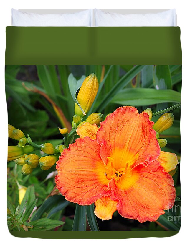 Gladiola Duvet Cover featuring the painting Orange Gladiola Flower and Buds by Corey Ford