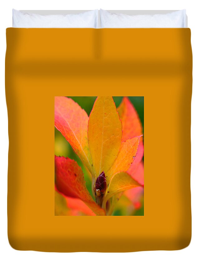 Autumn Duvet Cover featuring the photograph Orange Leaves by Juergen Roth