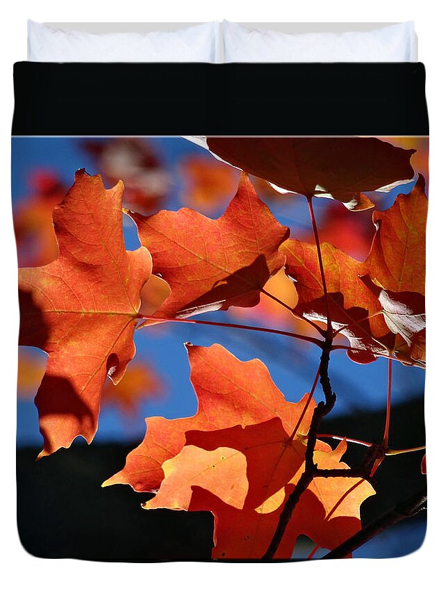 Leaves Duvet Cover featuring the photograph Orange Leaves by Mikki Cucuzzo