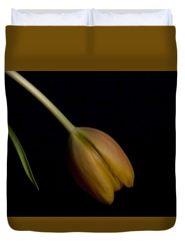 Flower Duvet Cover featuring the photograph Orange on Black by Cheryl Day