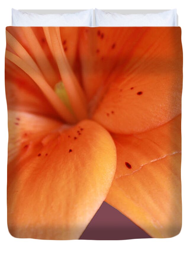 Orchids Duvet Cover featuring the photograph Orange Orchid by Karen Nicholson