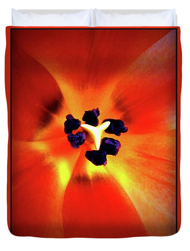 Orange Orchid Duvet Cover featuring the photograph Orange Orchid by Kelly Mills