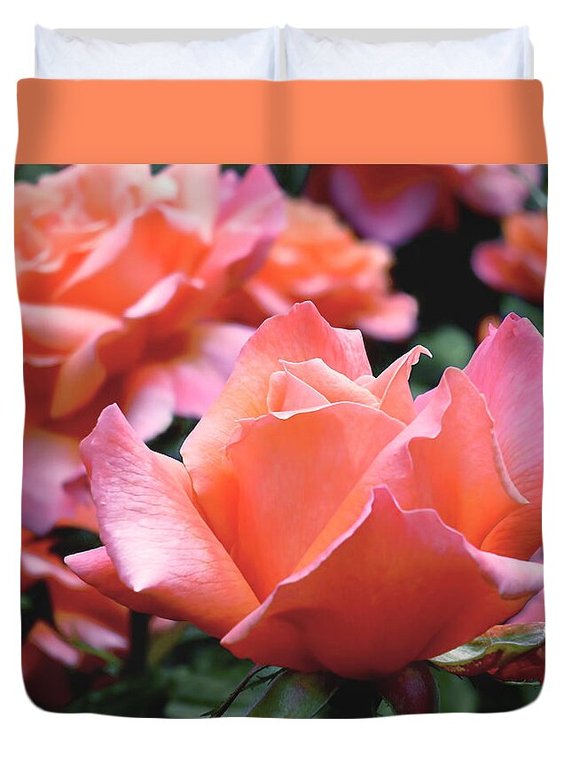 Rose Duvet Cover featuring the photograph Orange-Pink Roses by Rona Black