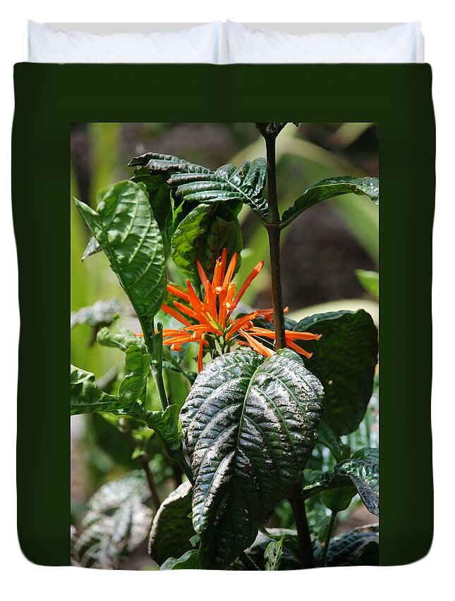 Banana Leaf Duvet Cover featuring the photograph Orange Plants by Rob Hans