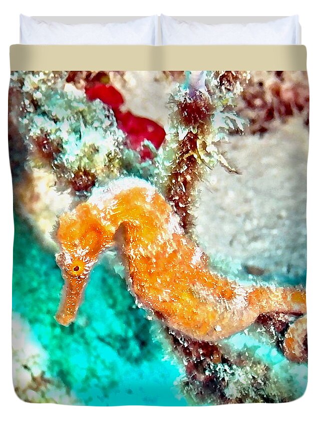 Sea Horse Duvet Cover featuring the photograph Orange Sea Horse by Amy McDaniel