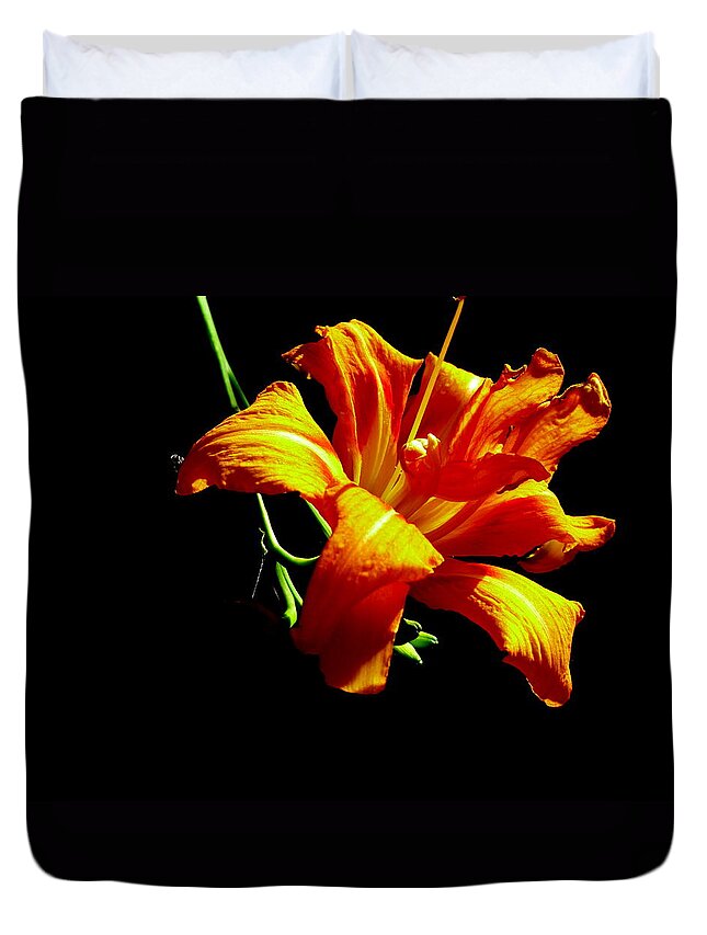 Floral Duvet Cover featuring the photograph Orange Splendor by Fred Wilson