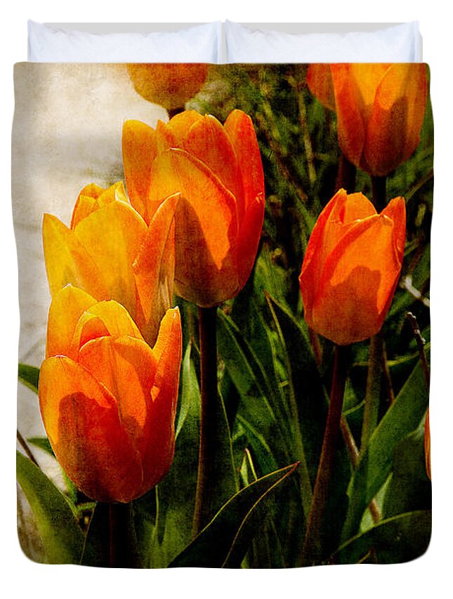 Tulip Duvet Cover featuring the photograph Orange Tulips by Milena Ilieva