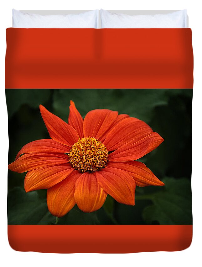 Flowers Duvet Cover featuring the photograph Orange You Pretty by Dick Pratt