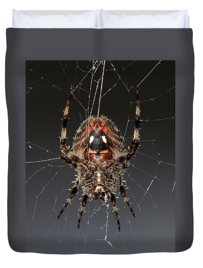 Orb Duvet Cover featuring the photograph Orb weaver belly by Shawn Jeffries
