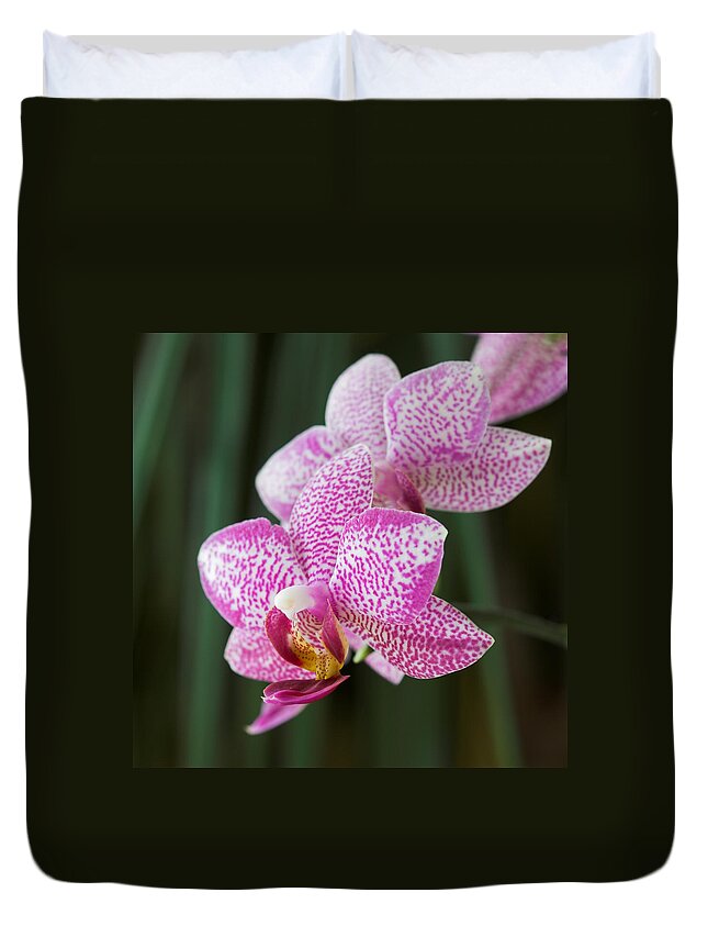 Orchid Duvet Cover featuring the photograph Orchid 20 by Pierre Leclerc Photography