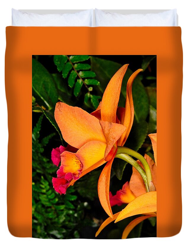 Orchid Duvet Cover featuring the photograph Orchid 355 by Wesley Elsberry