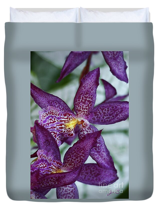 Orchids Duvet Cover featuring the photograph Orchid Awakening by John F Tsumas
