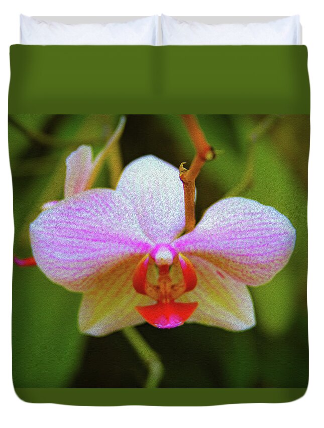 Bonnie Follett Duvet Cover featuring the photograph Orchid Blush by Bonnie Follett