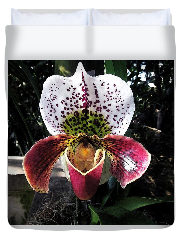 Orchid Duvet Cover featuring the photograph Orchid by Don Wright