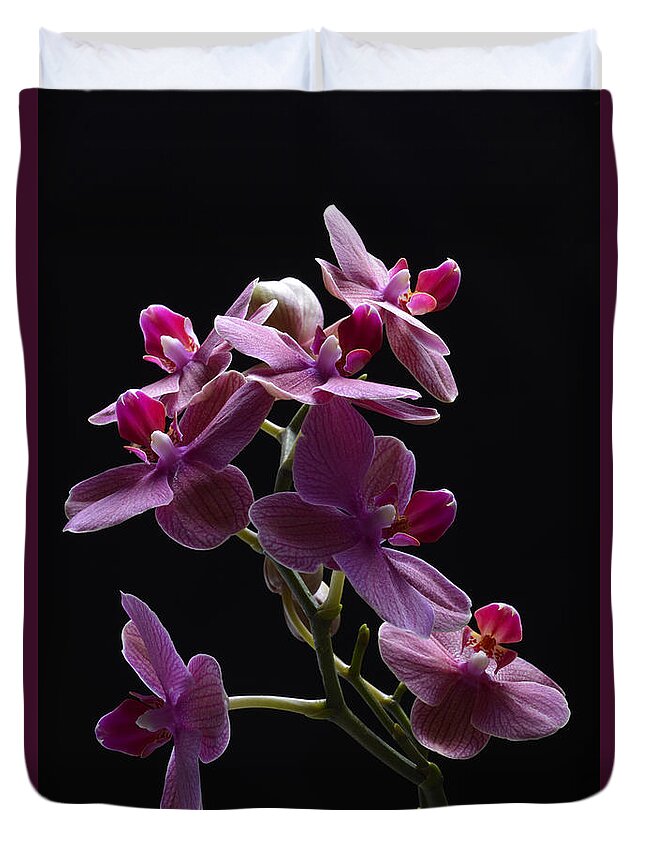 Orchid Duvet Cover featuring the photograph Orchid in flight by Robert WK Clark