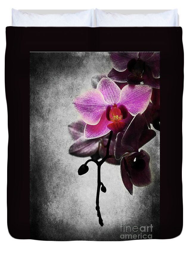 Orchid Duvet Cover featuring the photograph orchid IV by Hannes Cmarits