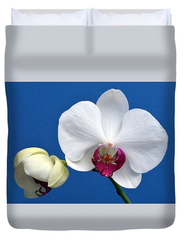 Orchid Duvet Cover featuring the photograph Orchid Out Of The Blue. by Terence Davis