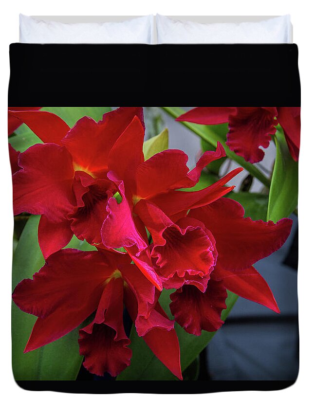 Botanical Duvet Cover featuring the photograph Orchid Show 13 by Alana Thrower