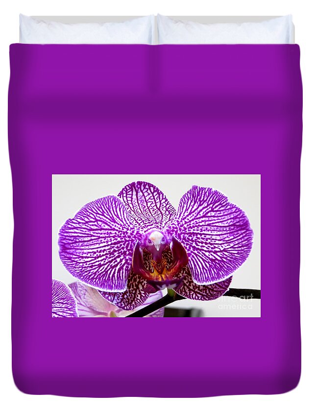 Orchid Duvet Cover featuring the photograph Orchid by Tim Townsend
