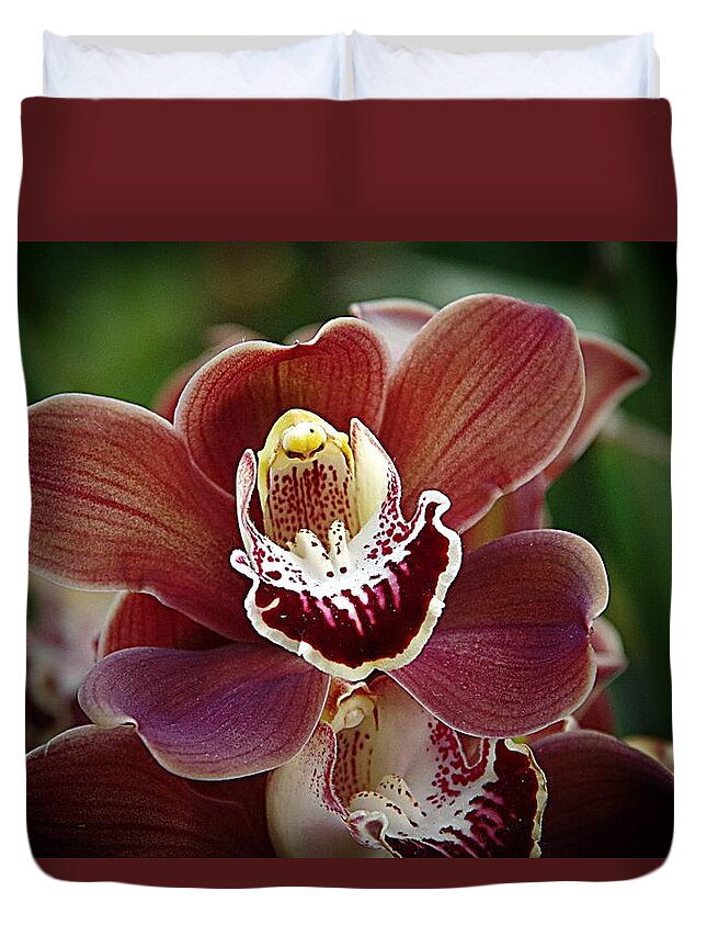 Brown Orchid Duvet Cover featuring the photograph Orchids 7 by Karen McKenzie McAdoo