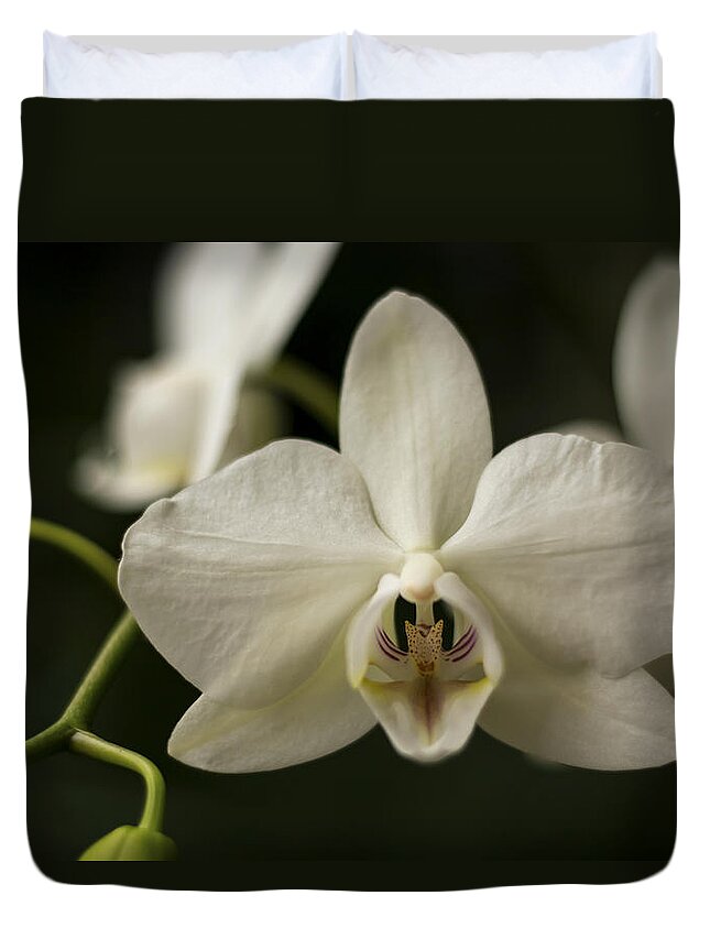Orchid Duvet Cover featuring the photograph Orchids by Holly Ross