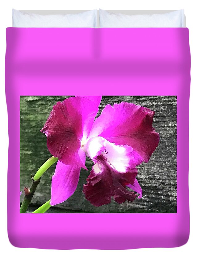 Flowers Duvet Cover featuring the photograph Orchids by Jean Wolfrum