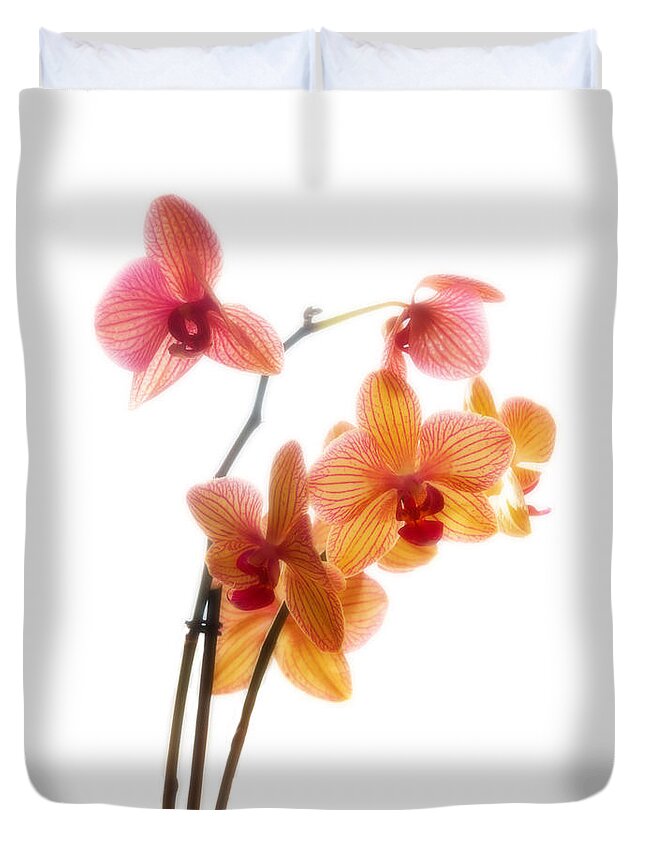 Orchids Duvet Cover featuring the photograph Orchids by Mark Alder