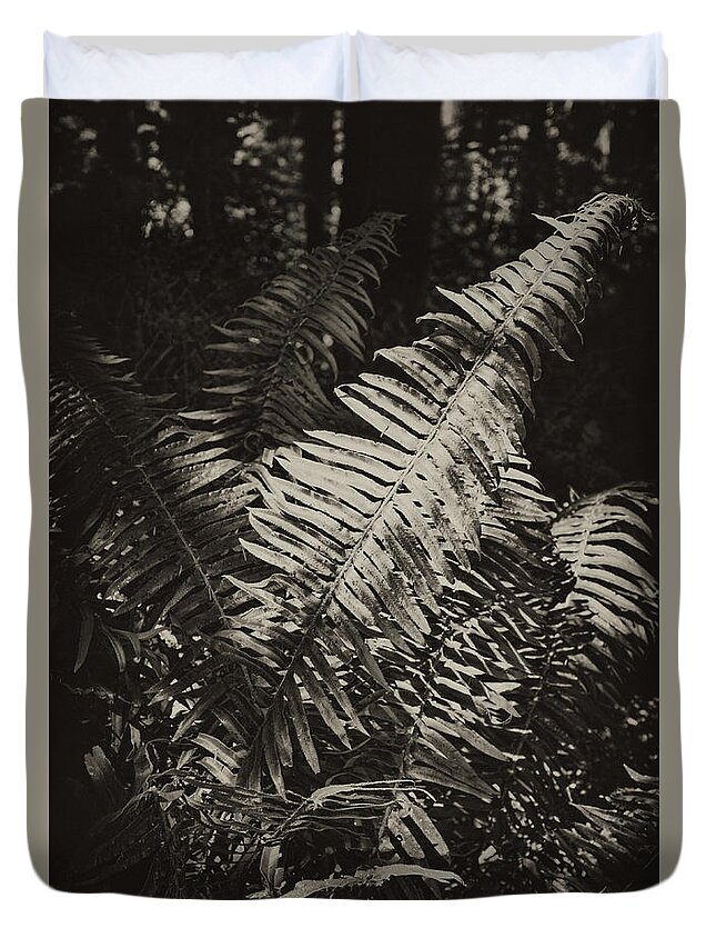 Fern Duvet Cover featuring the photograph Oregon Fern by Hugh Smith