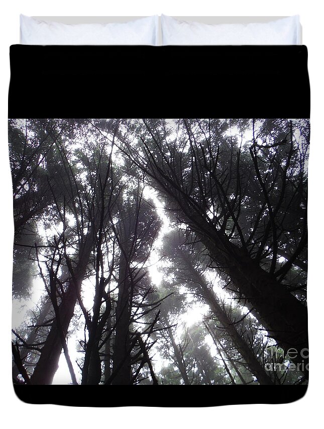 Oregon Pine Tops 1 Duvet Cover featuring the photograph Oregon Pine Tops 1 by Paddy Shaffer