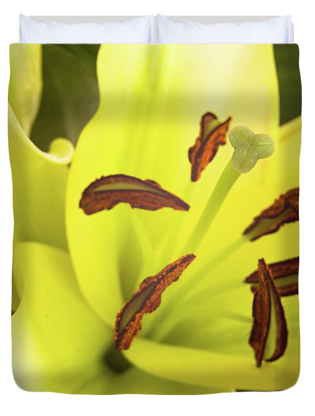 Alive Duvet Cover featuring the photograph Oriental Lily Flower by Raul Rodriguez
