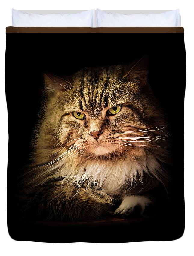 Cat Duvet Cover featuring the photograph Oscar on Black by Joni Eskridge
