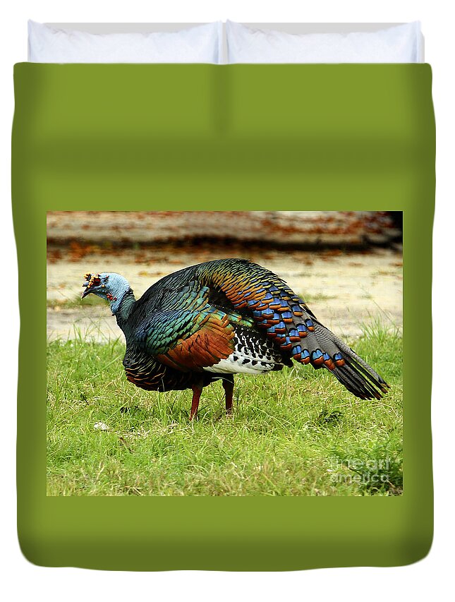 Mayan Ruins Duvet Cover featuring the photograph Oscillated Turkey by Kathy McClure