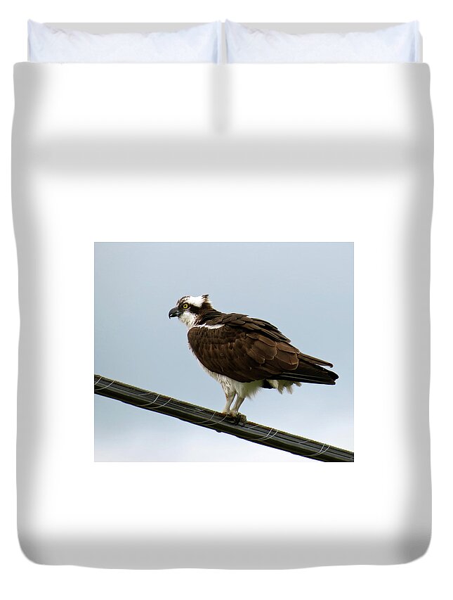 Bird Duvet Cover featuring the photograph Osprey by Azthet Photography