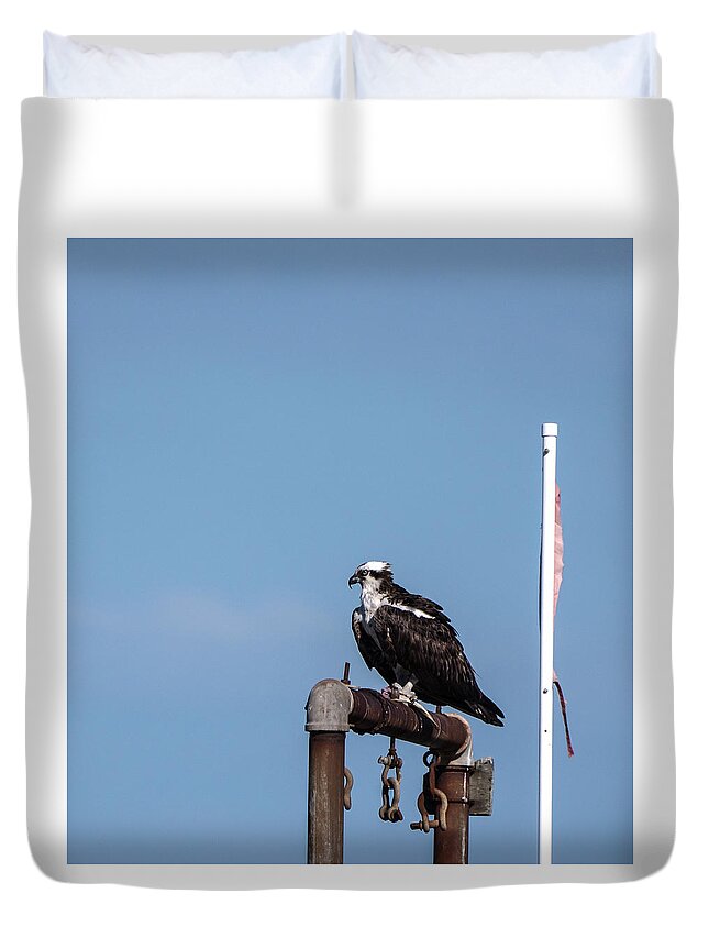 Birds Duvet Cover featuring the photograph Osprey having lunch by Paul Ross