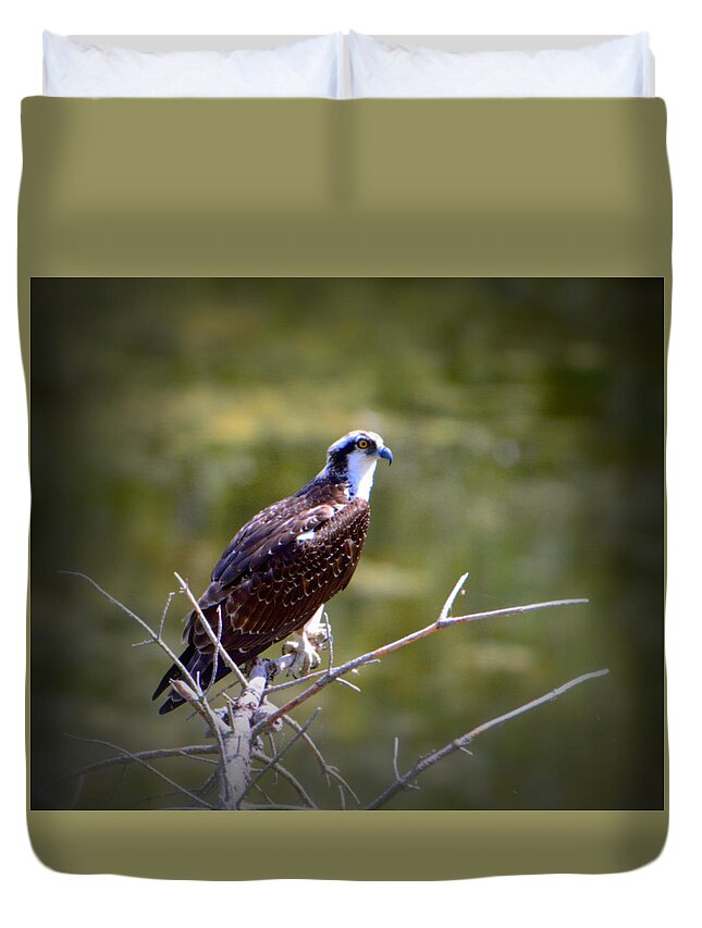 Osprey Duvet Cover featuring the photograph Osprey in Wait by Josephine Buschman