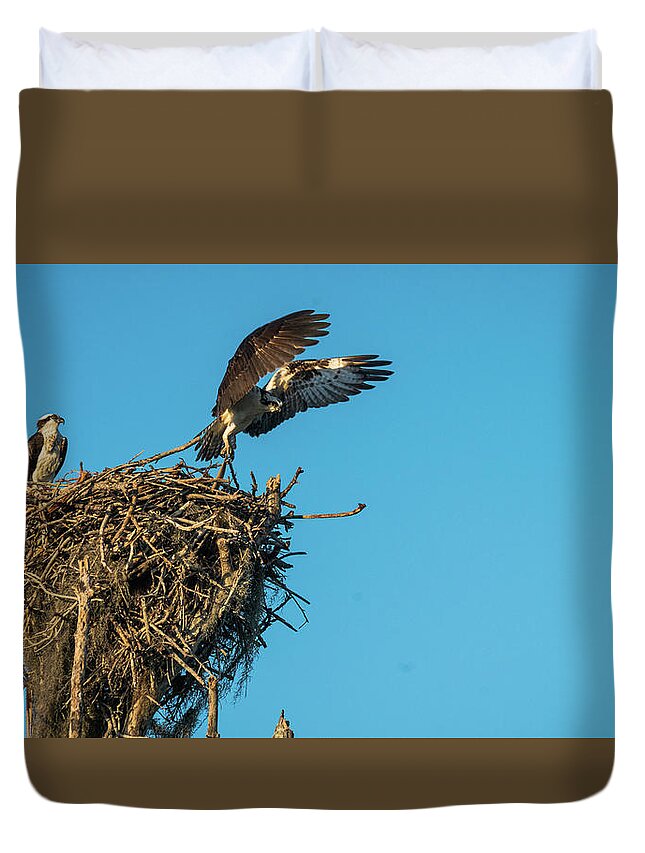 Florida Duvet Cover featuring the photograph Osprey Takes Flight Everglades National Park Florida by Lawrence S Richardson Jr