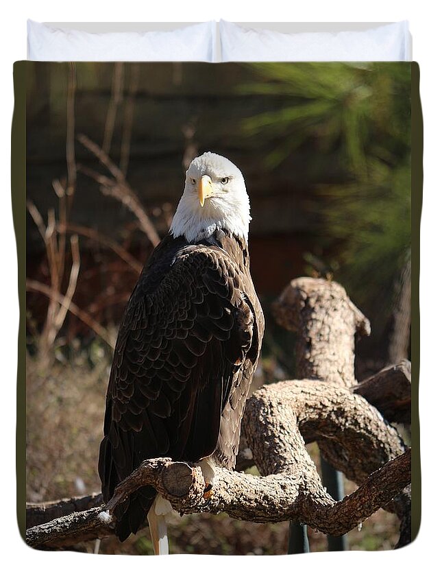 Bald Eagle Duvet Cover featuring the photograph Our Bird by Buck Buchanan